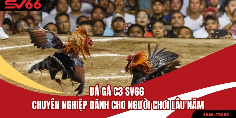 Đá Gà C3 SV66 Chuyên Nghiệp Dành Cho Người Chơi Lâu Năm